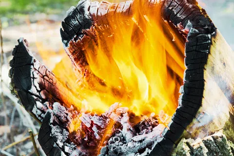 Bright orange flames burning inside a hollowed, charred tree log in an outdoor forest setting.