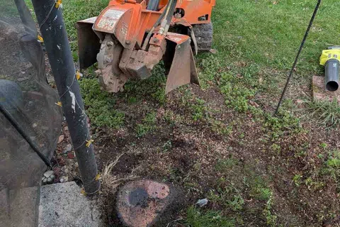 Orange stump grinder in a backyard clearing a tree stump near a patio and green grass area.