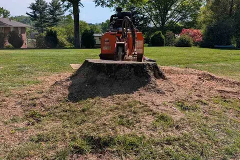 Tree stump grinder sits on large tree stump in a sunny, grassy yard with surrounding trees and a house.