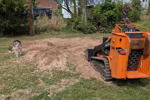 Orange mini skid steer loader on grass and dirt near a dog and a yellow helmet in a suburban backyard.
