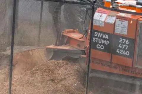 Orange stump grinding machine removing tree stump outdoors with protective mesh screen and operator nearby
