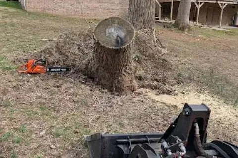 Tree stump removal in a residential yard with a chainsaw and orange stump grinder in view near houses.