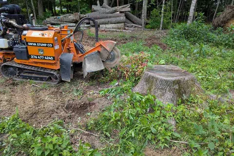 Orange stump grinding machine beside a large tree stump in a forest clearing with logs stacked in the background
