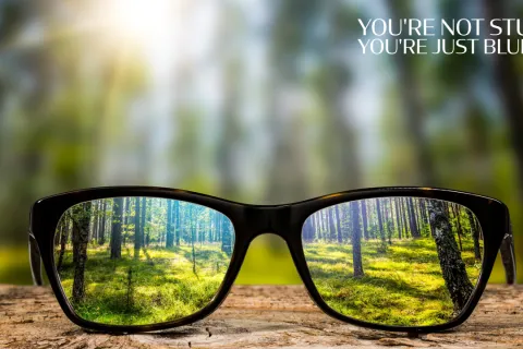 Black glasses on a wooden surface focusing a clear forest scene with blurred background and inspirational text