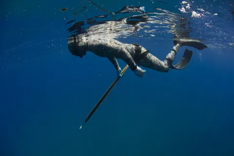 Freediver in camouflage wetsuit holding speargun underwater in clear deep blue ocean with fins.