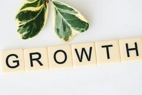 Scrabble tiles spelling GROWTH with green variegated leaves on white background representing development.