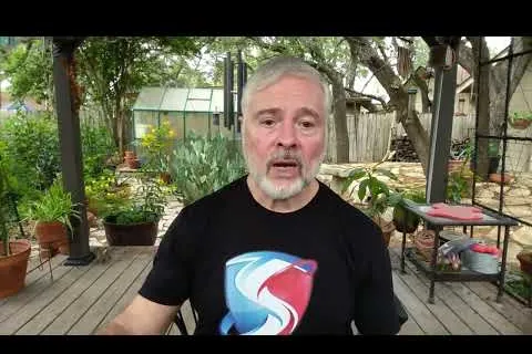 Man with gray hair and beard wearing black t-shirt with red and blue logo sitting on wooden patio surrounded by plants.