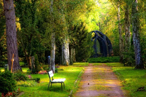 a bench sits in a park