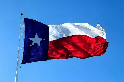a flag on a pole