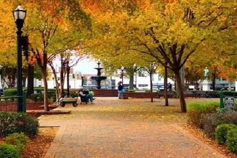 a park with trees and benches
