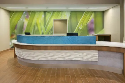 Springhill Suites by Marriott Mishawaka Lobby Millwork