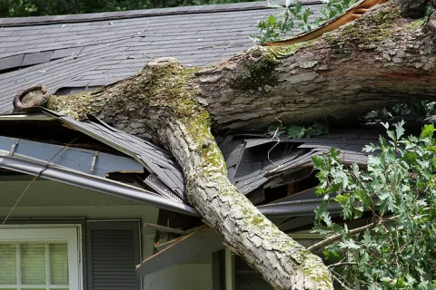 How to Protect Your Roof From Severe Storms and Hurricanes: A Complete Guide for Georgia Homeowners