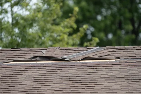 Damaged asphalt roof shingles peeling off, exposing underlayment and wooden sheathing under a blurred green tree background.