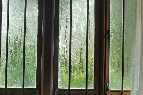 Condensation-covered window panes with vertical metal bars and greenery visible outside on a rainy day