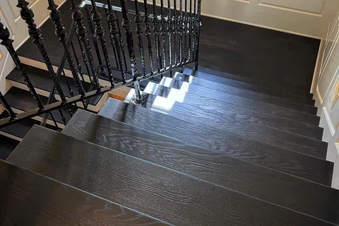 Dark wooden staircase with black ornate metal railing and white paneled walls, natural light casting shadows.