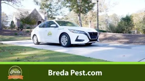 a white car on a road
