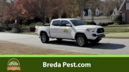 a white truck parked on a street