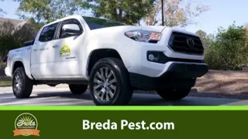 a white truck on a road