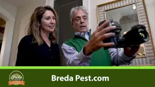 graphical user interface