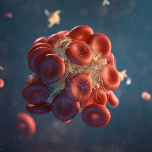 3D illustration of red blood cells entangled in a blood clot with fibrin strands visible in a blue background