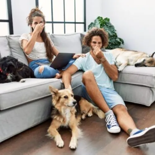 Why There’s a Sewage Smell in Your House