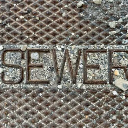 Clogged Sewer Line