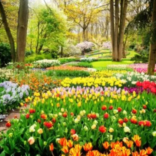 Spring cleaning in Atlanta, GA