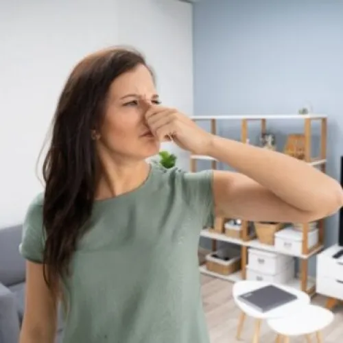 Indoor air quality in Atlanta, GA