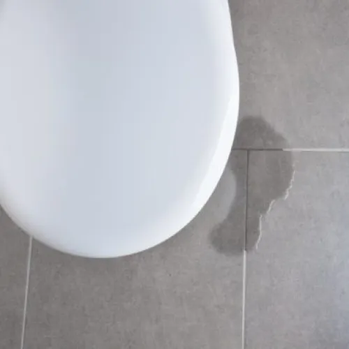 Toilet Leaking from Bolts