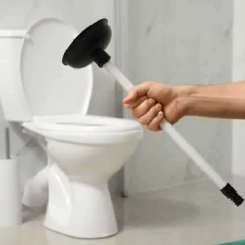 Person Holding a Plunger Over a Toilet