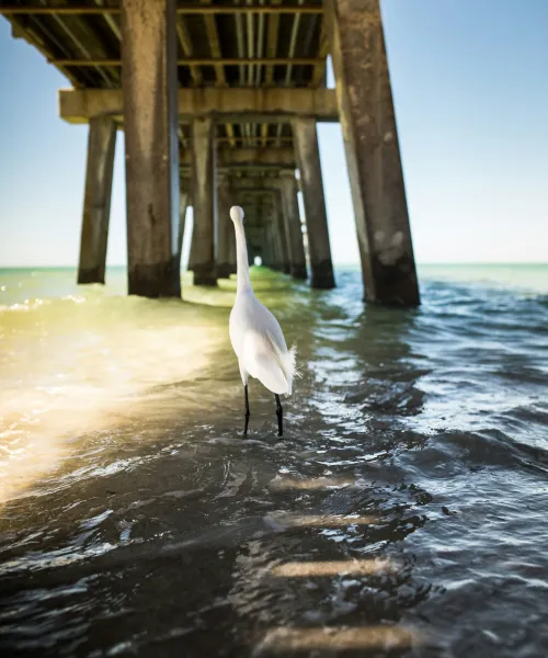 north port ac repair, ac installation