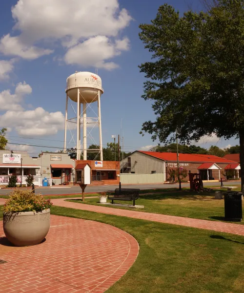 a park with a water tower