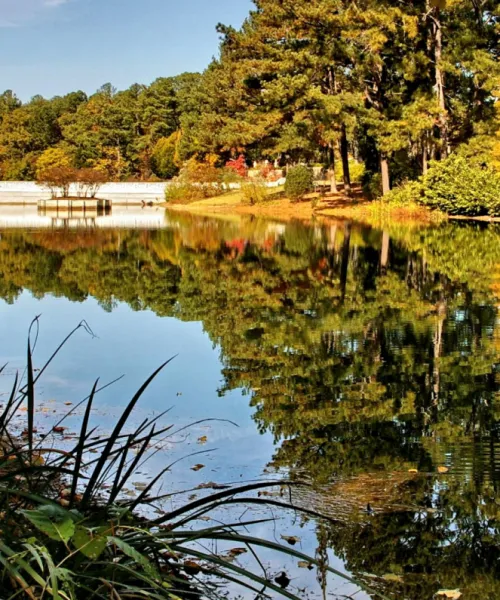 a bridge over a body of water surrounded by trees