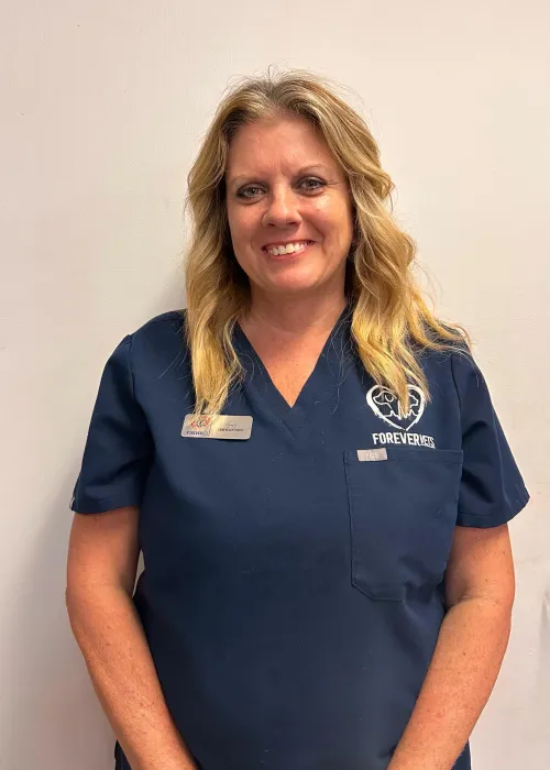 Meet Amy Andrews