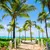 Sandy path lined with palm trees leading to a tropical beach with turquoise ocean and thatched umbrellas.