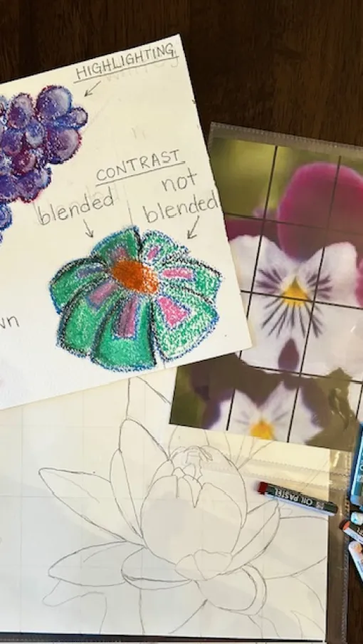 Art supplies on a table including pastel crayons, a flower sketch, color blending practice sheet, and a flower photo with grid overlay.