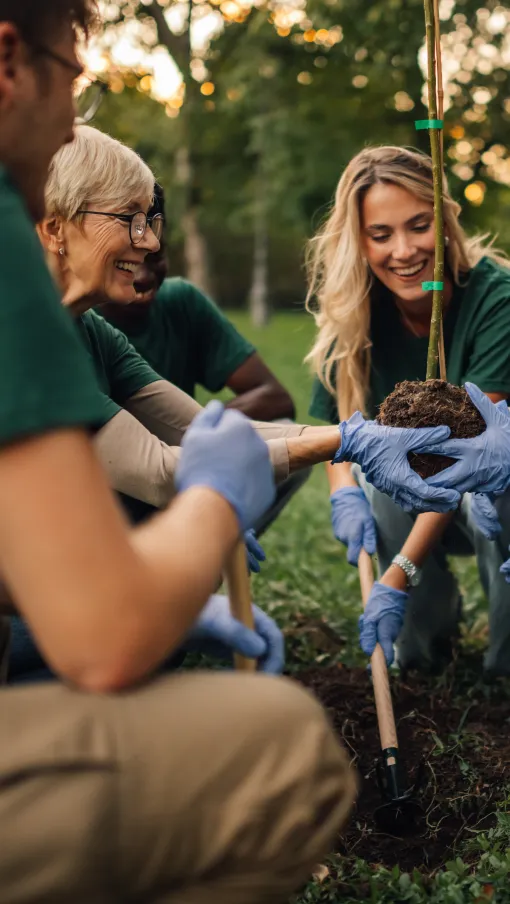 Group of diverse volunteers planting a young tree outdoors in a community garden during sunset.
