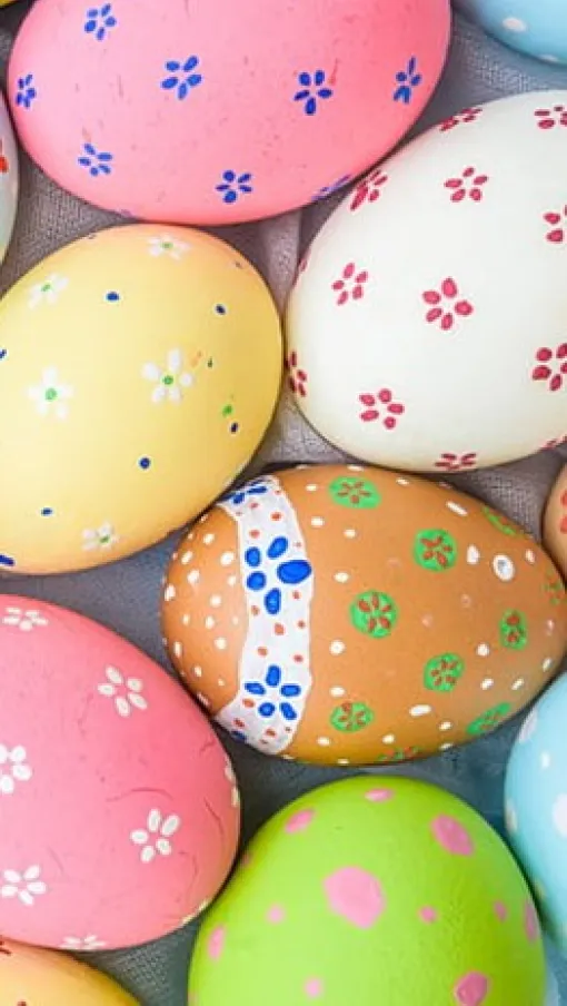 a group of colorful eggs