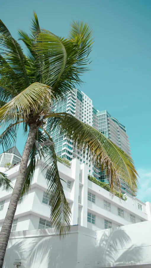 a tall building with a palm tree in front of it