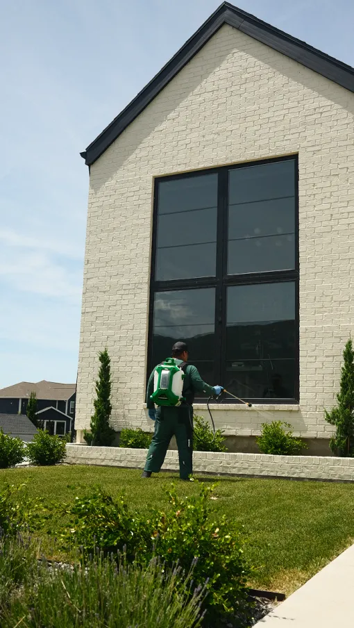 Professional gardener spraying plants with a backpack sprayer outside a modern white brick house.