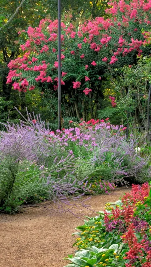 Garden pathway surrounded by vibrant pink, red, purple, and yellow flowering plants and green foliage under trees.
