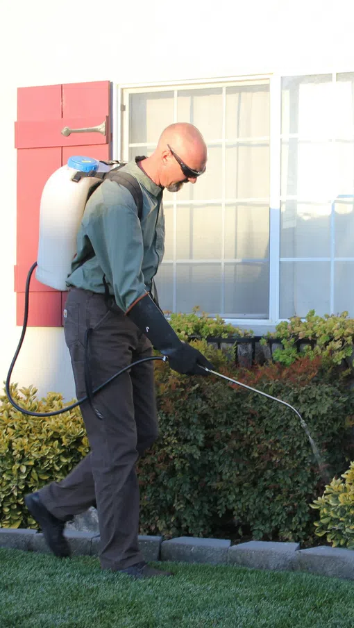 Pest control technician spraying a protective barrier treatment around the foundation of a home