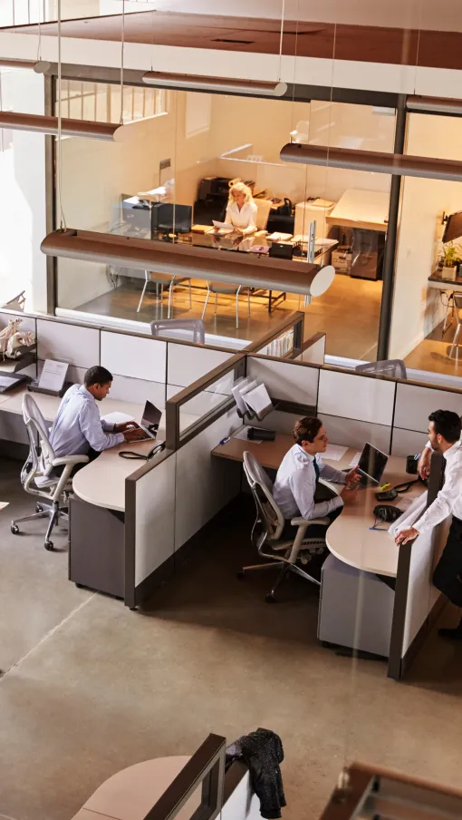 a group of people in an office