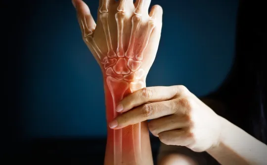 a close-up of hands holding a bone