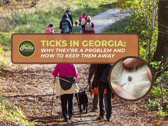 Group hiking on a wooded trail with inset of a tick on animal fur and text about ticks in Georgia prevention.