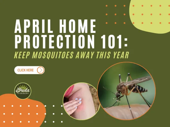 April home protection tips to keep mosquitoes away, showing a mosquito bite and close-up of a mosquito on skin.