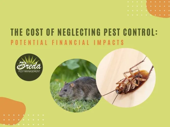 cost of neglecting pest control financial impacts roach rat