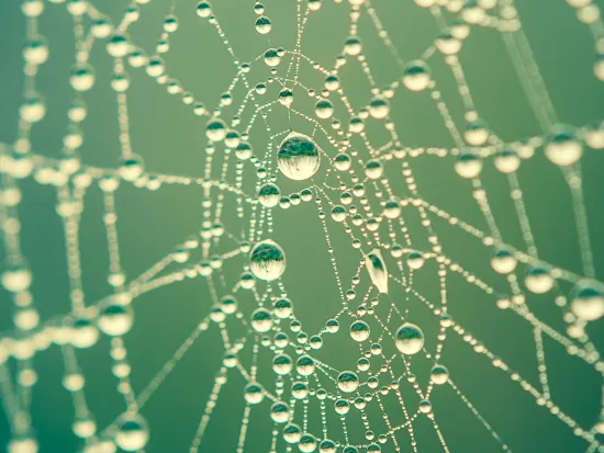 a close up of a web