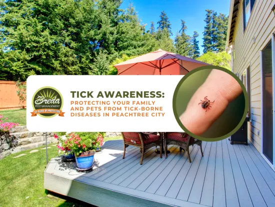 Backyard deck with outdoor umbrella and tick awareness ad showing a close-up of a tick on a finger.