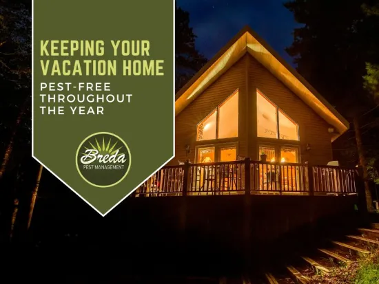 vacation home pest management tips